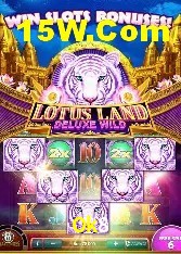 Login Seguro Ok8